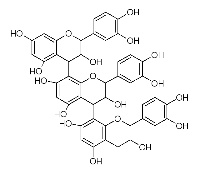 polifenol kandungan sehat kopi