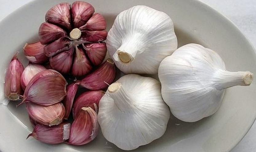 kandungan gizi rendang bawang putih dan merah